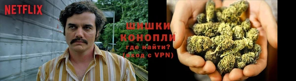 ешки Мегион