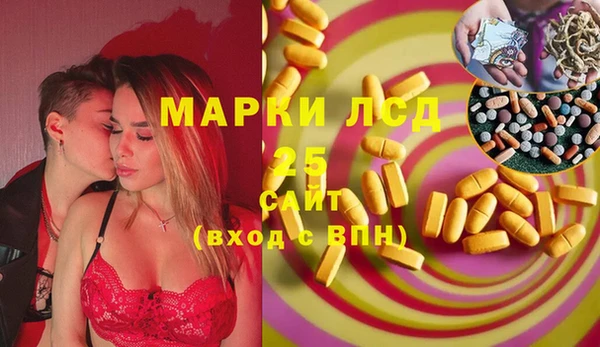 PSILOCYBIN Магас