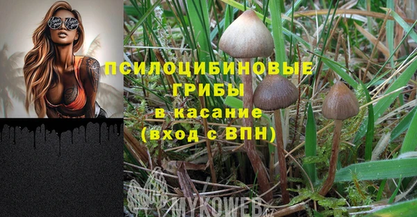 ешки Мегион
