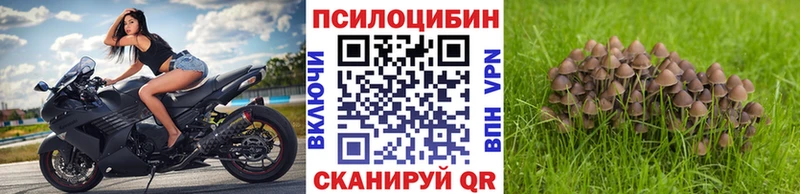 цены наркотик Ковдор kraken онион Псилоцибиновые грибы прущие грибы